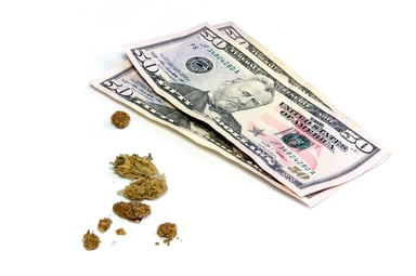 Cannabis buds with 3 $50 bills