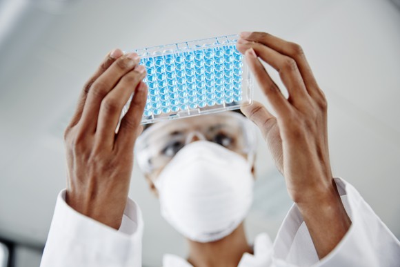 Scientist looking at a blue well plate.