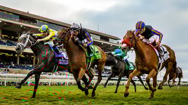 horse racing thoroughbreds fubotv source-fubo