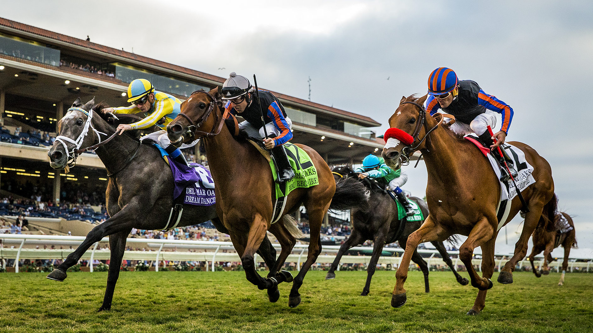 Thoroughbred horse racing