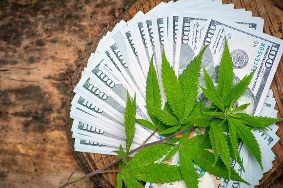 Marijuana leaves on top of fanned out $100 bills.