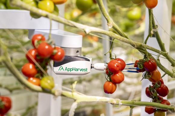 AppHarvest robotics monitoring tomato plants.