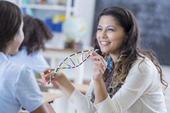 A teacher shows a student the model of a double-helix DNA strand.