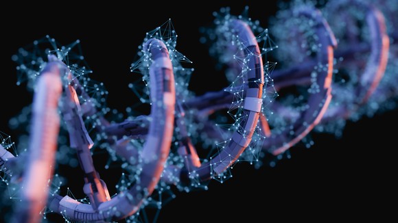 A close-up view of a strand of DNA.