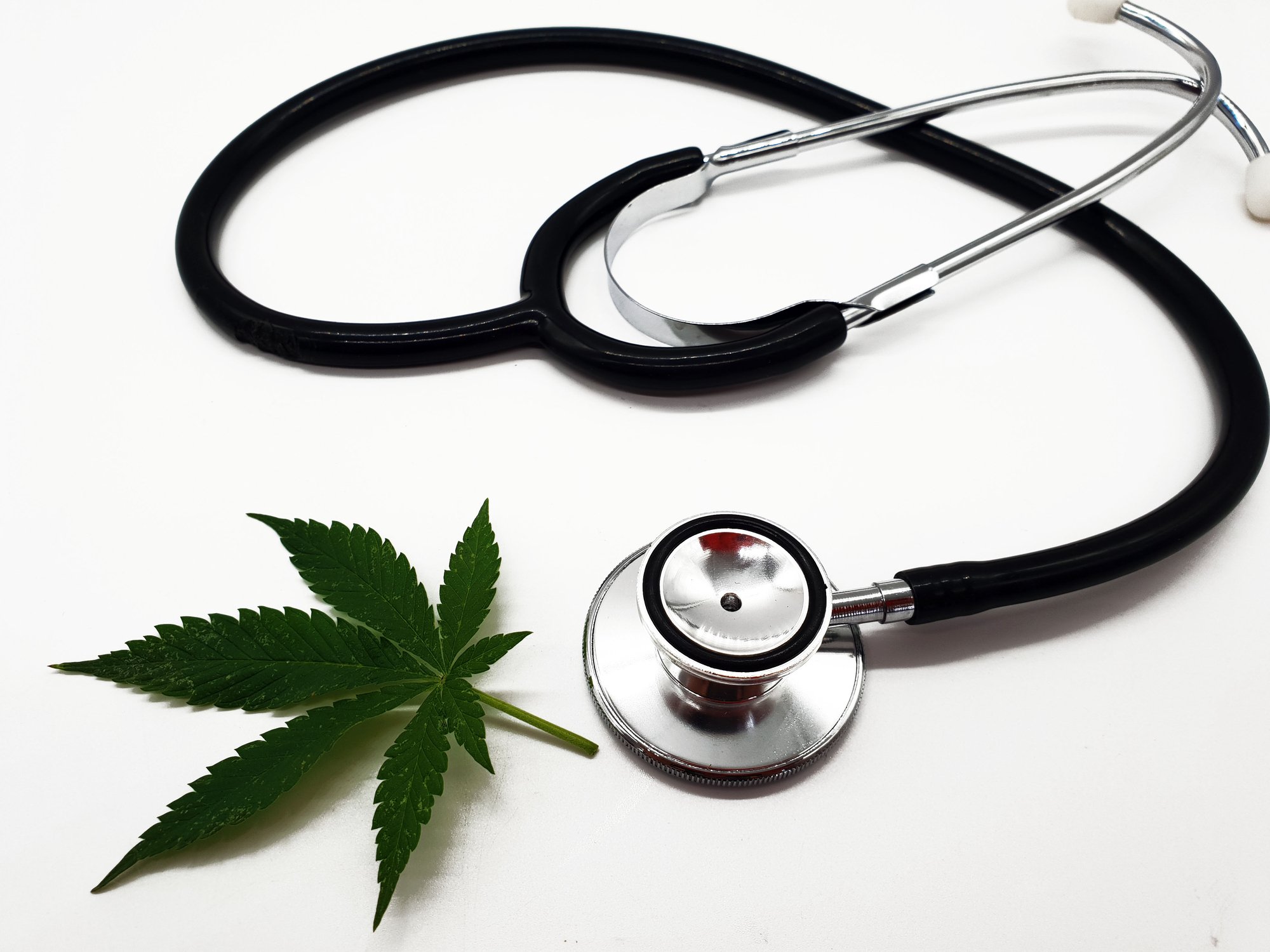 Marijuana leaf next to a stethoscope.