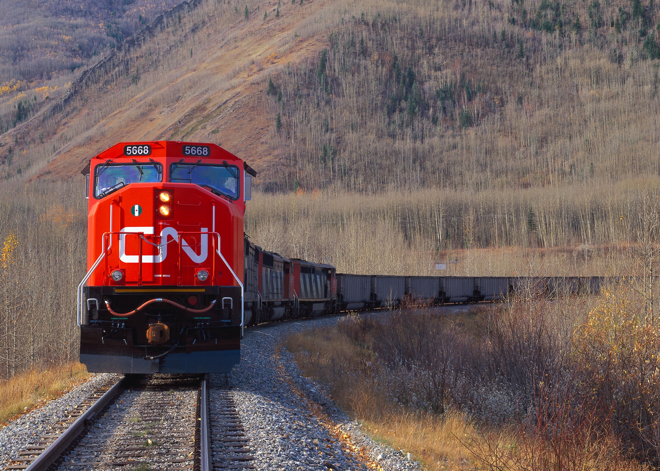 A Canadian National train in a mountain pass.