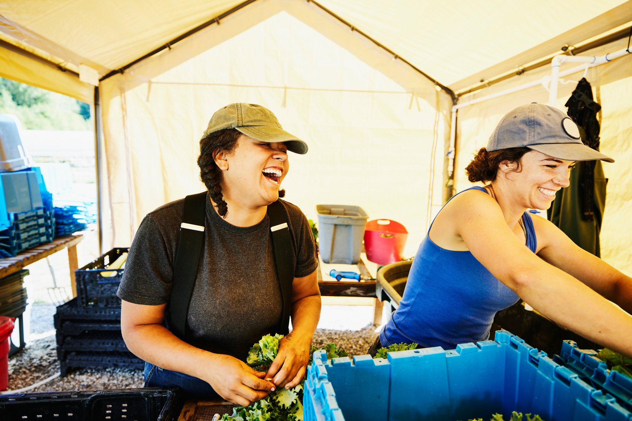 two workers in a greenhouse