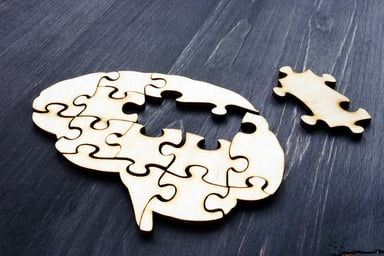 Jigsaw puzzle of brain