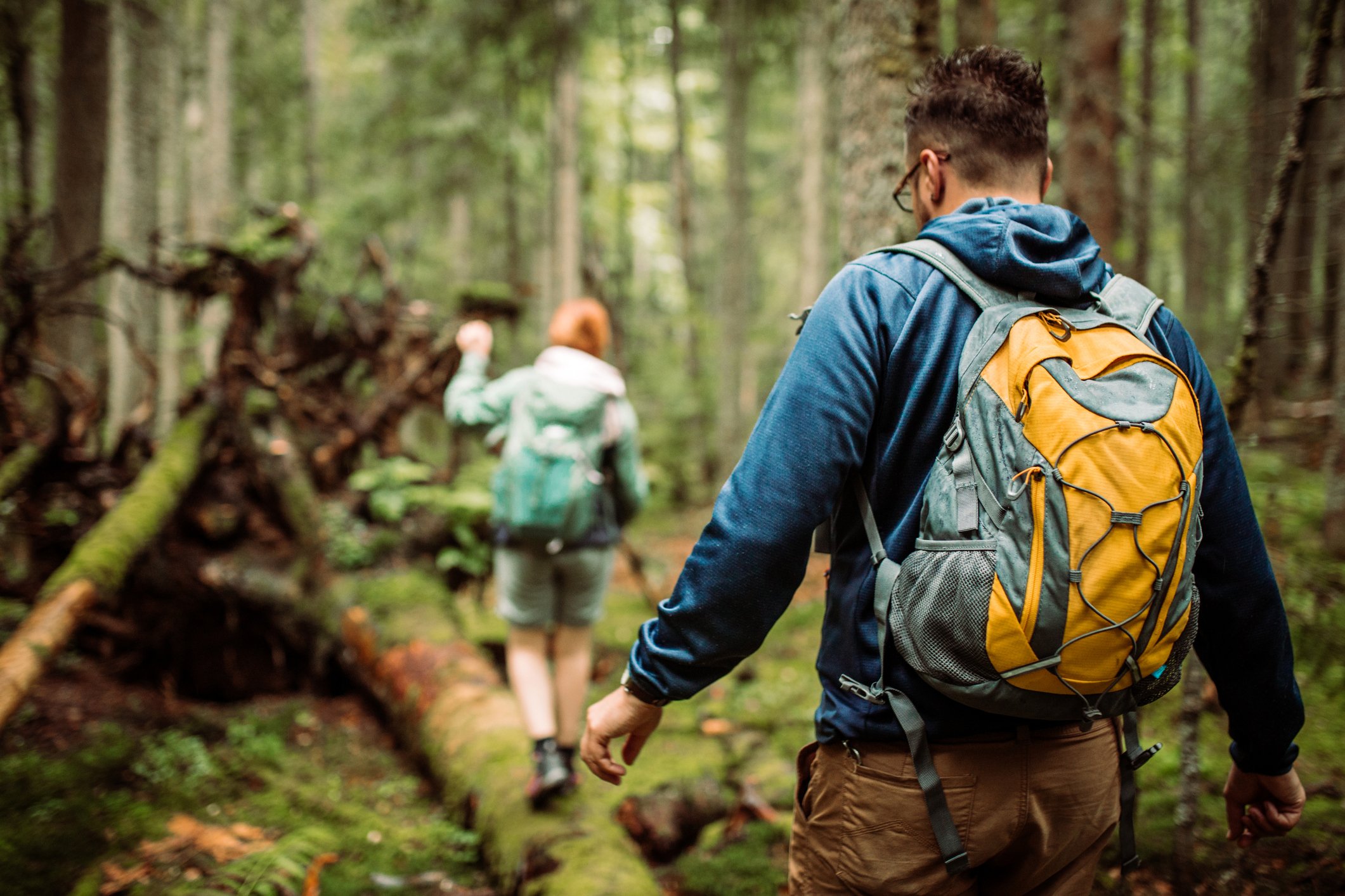 Two hikers walking through a dense forest.