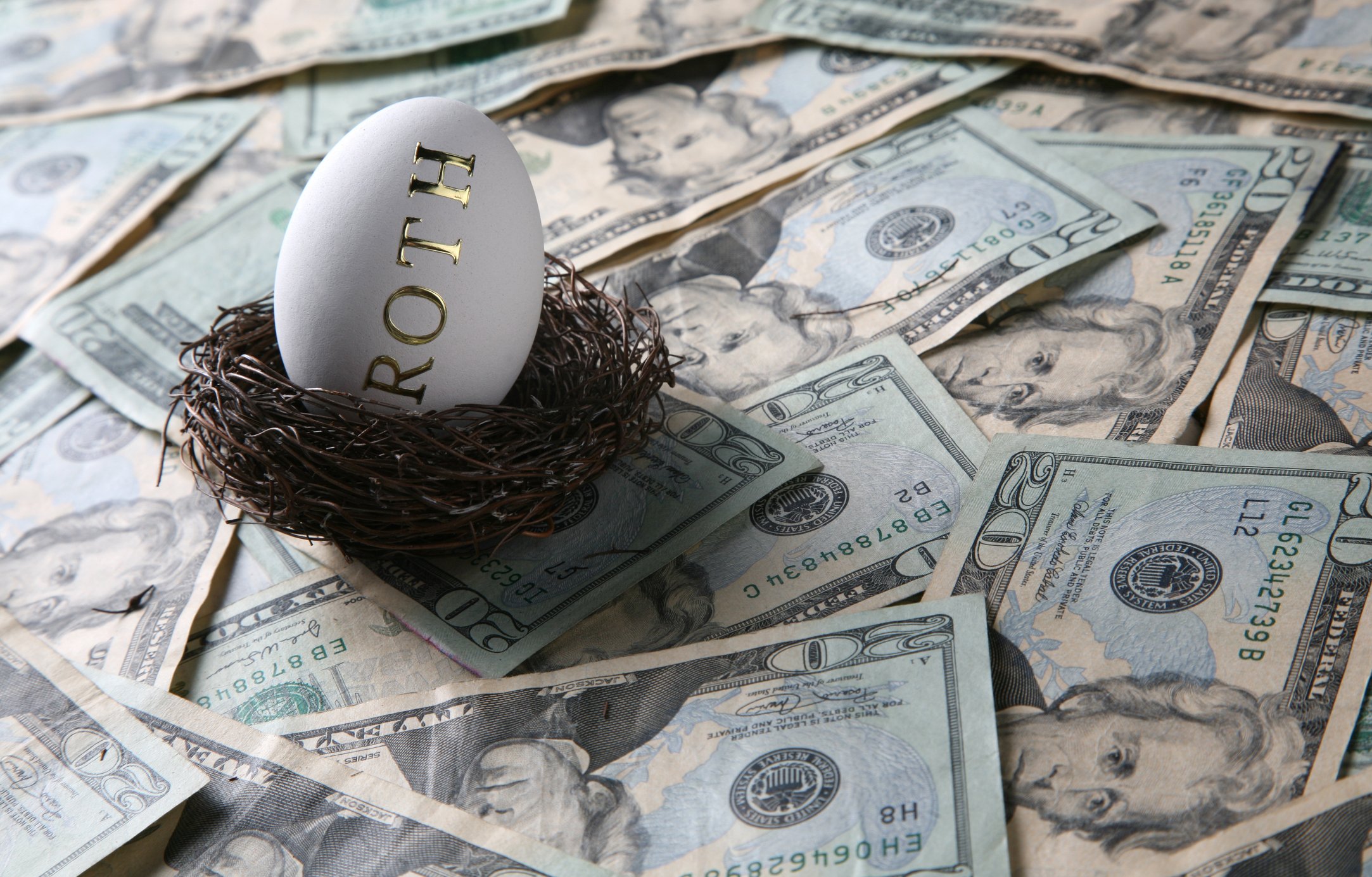 Roth egg sitting in bird nest surrounded by money. 