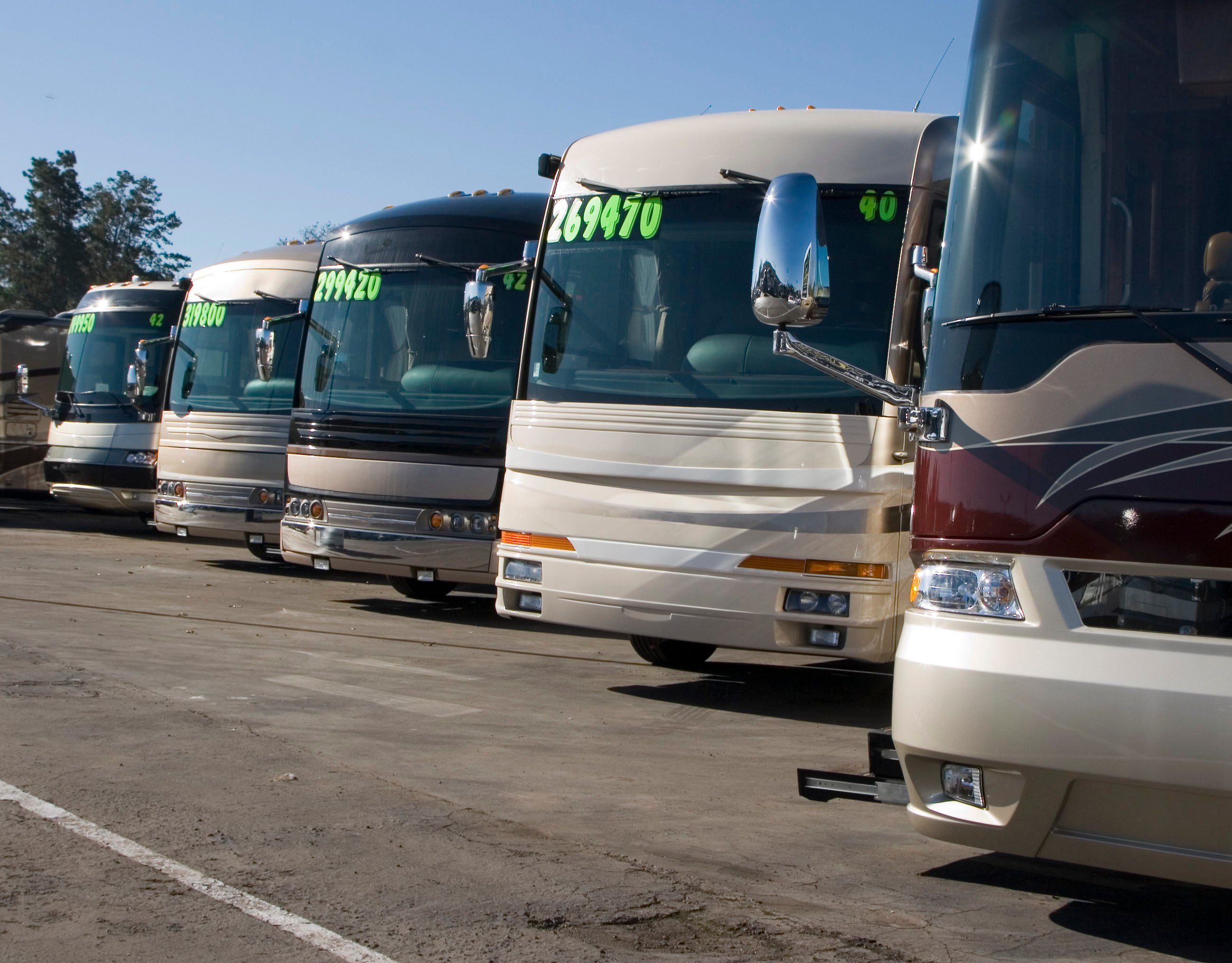 RVs parked in a row at a dealership.
