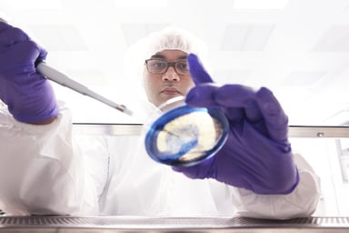 pharma1162678257 (1)