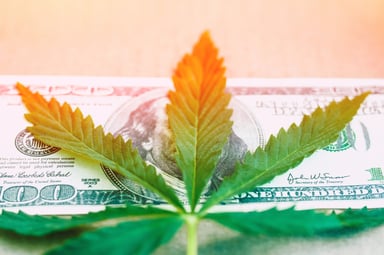 Cannabis stocks - Marijuana - GettyImages-925674506