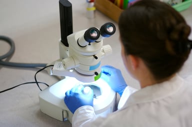 Scientist looking through a microscope