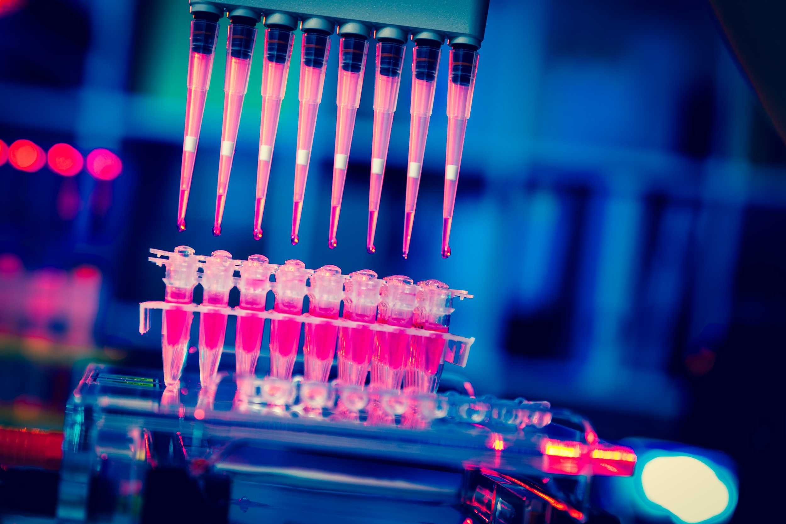 A multi-pipette device placing liquid samples into test tubes under ultraviolet light.