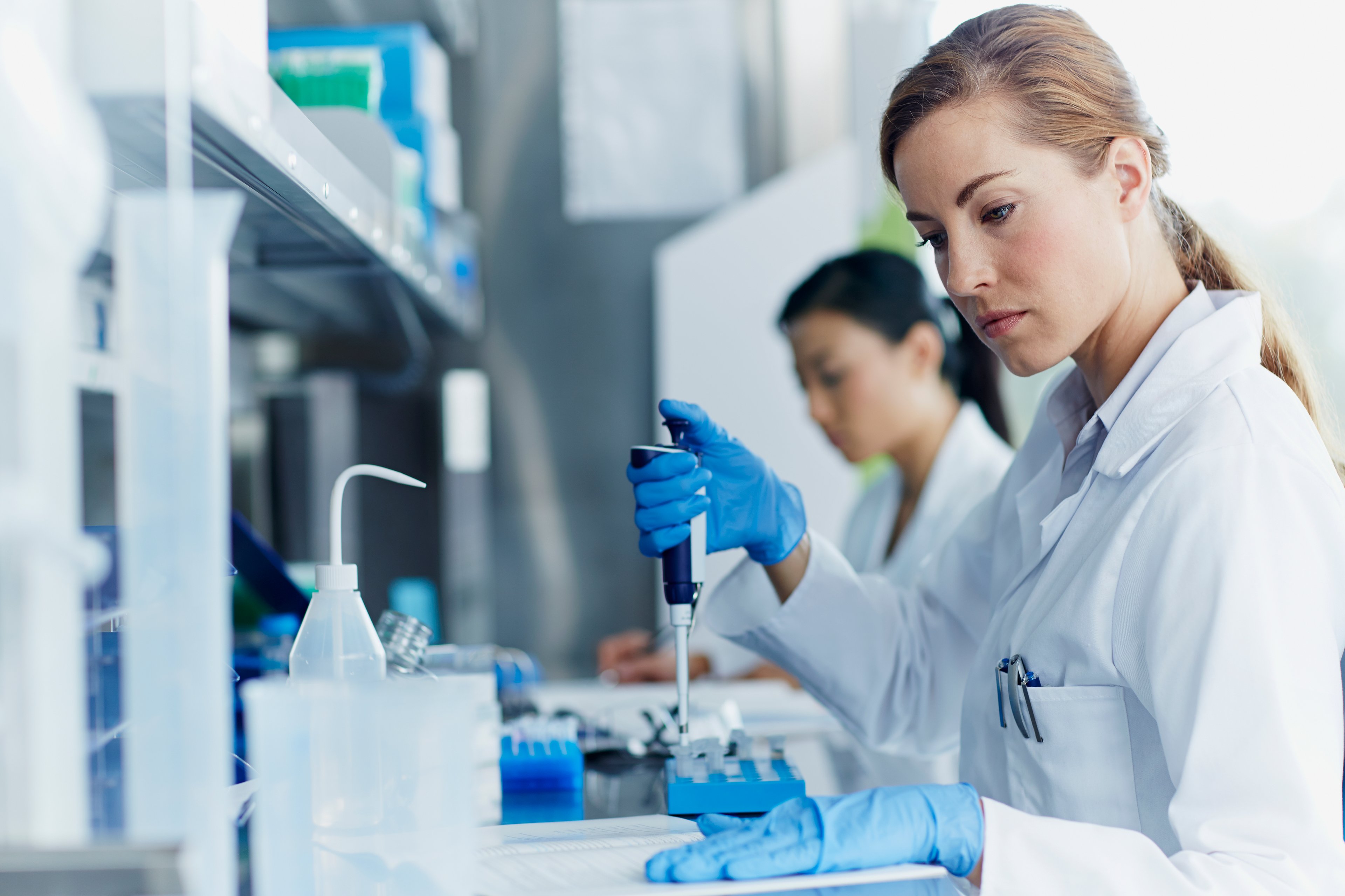 Scientists studying samples in the laboratory. 