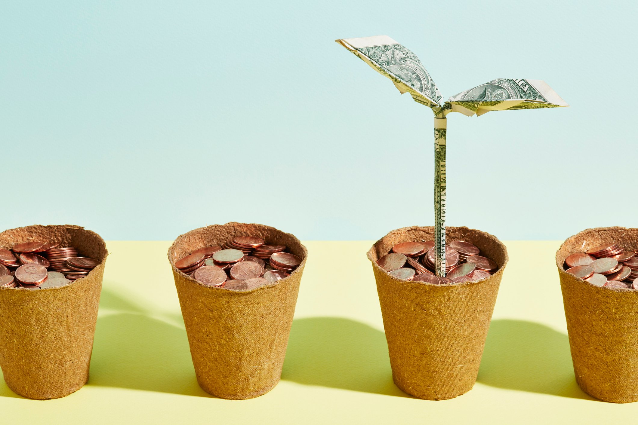 four flower pots filled with coins are lined up with a green flower made of dollar bills growing out of one of the pots