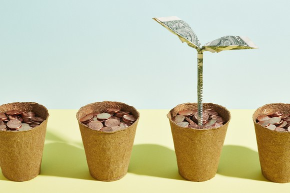 four flower pots filled with coins are lined up with a green flower made of dollar bills growing out of one of the pots