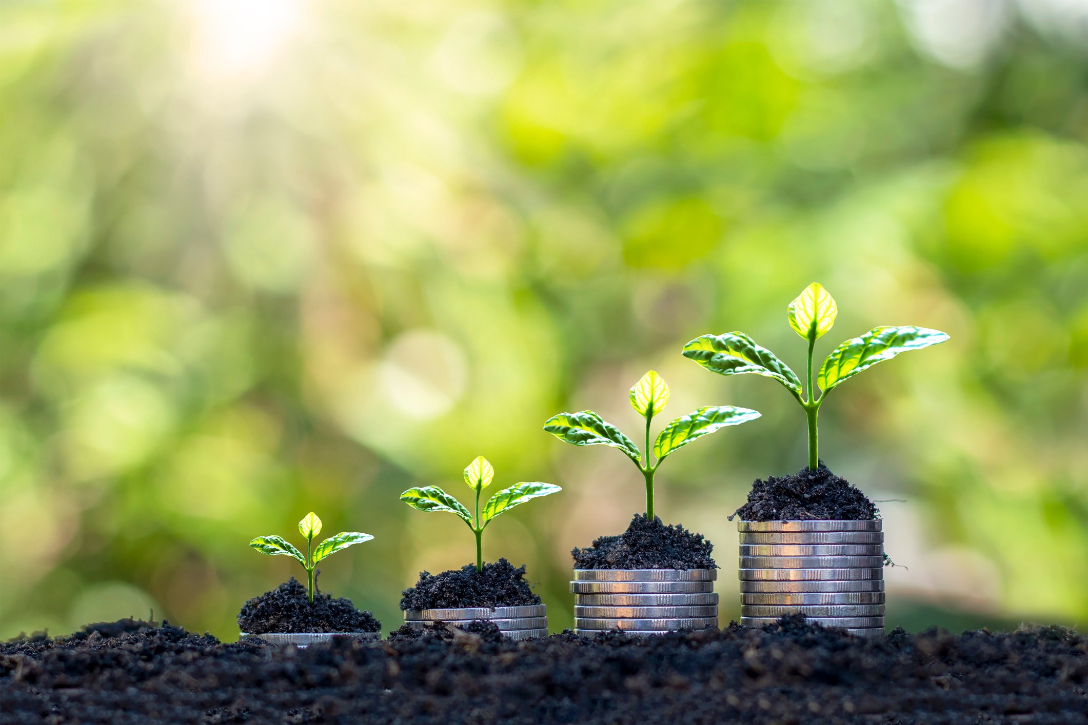 Plants sprouting from stacks of coins.