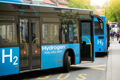 Two blue buses labeled H2 Hydrogen Fuel Cell Bus