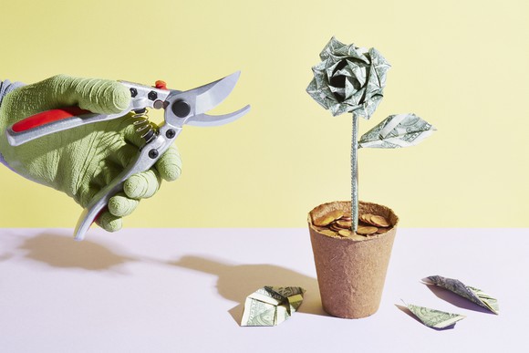 A person prunes an origami cash flower.