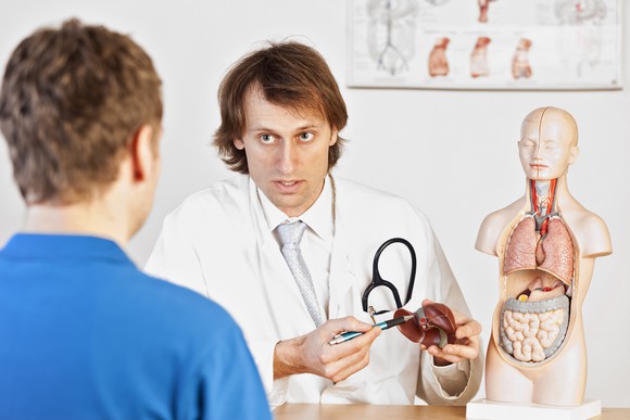 A doctor discussing a liver model with a patient.