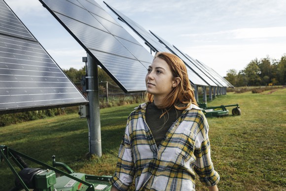 A person looking at solar panels on a farm.