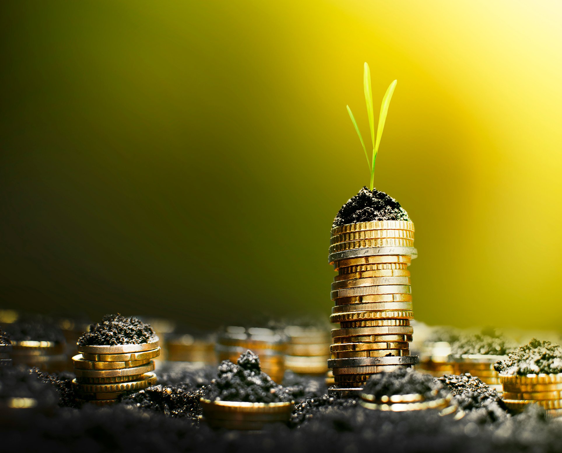 Stack of coins with a tiny plant on top.