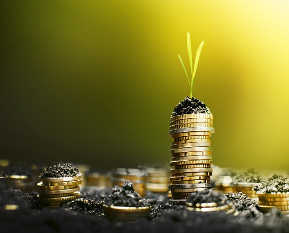 Stack of coins with a tiny plant on top.