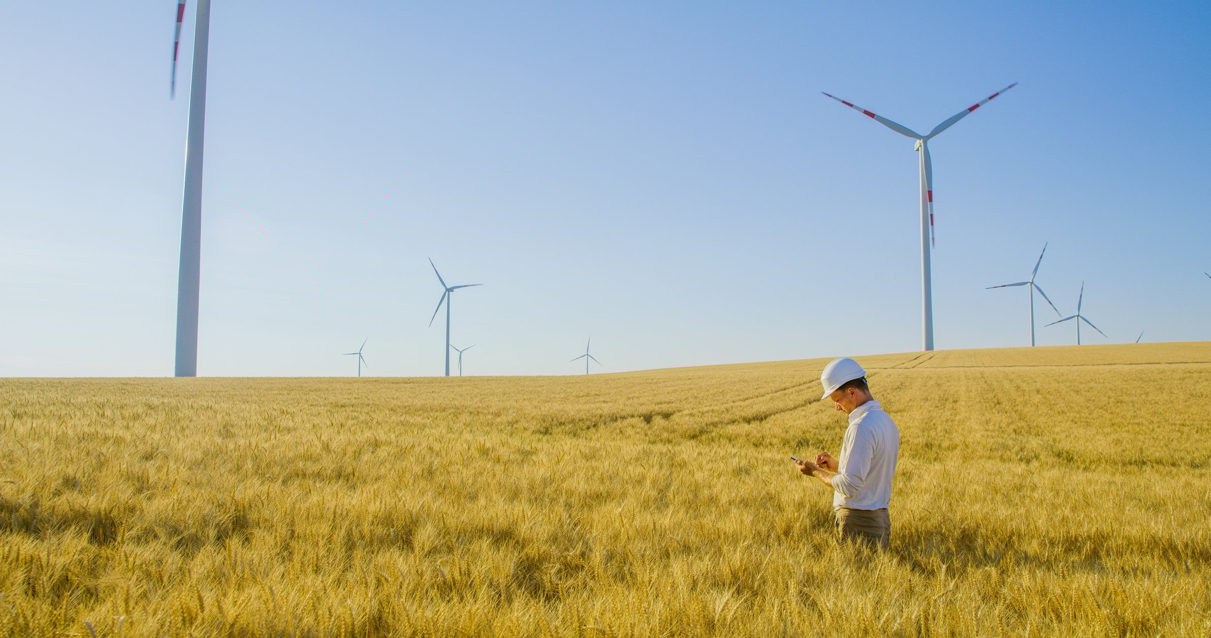 An engineer stands in a field with wind turbines in the background.