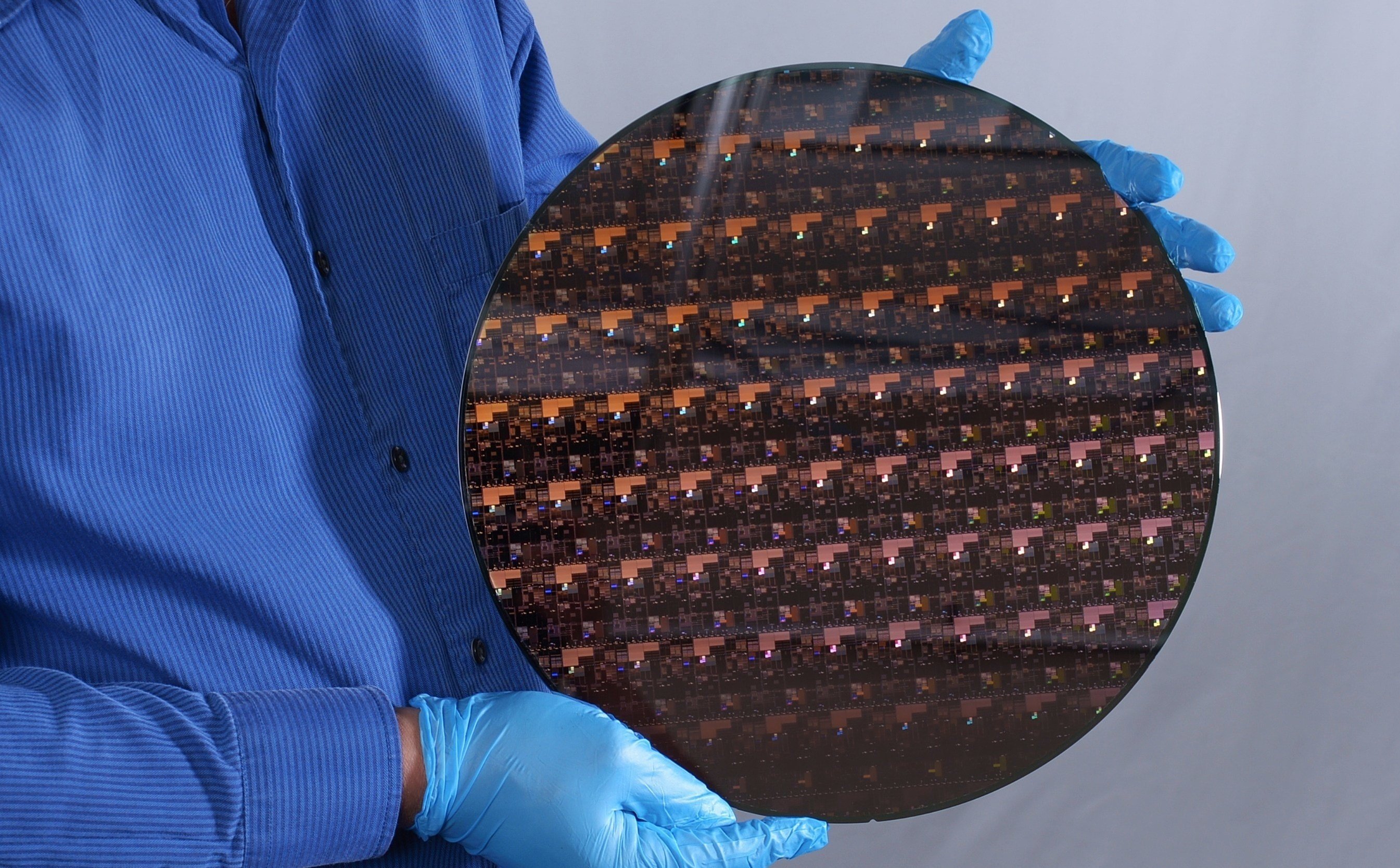 A wafer of IBM's 2nm chips.