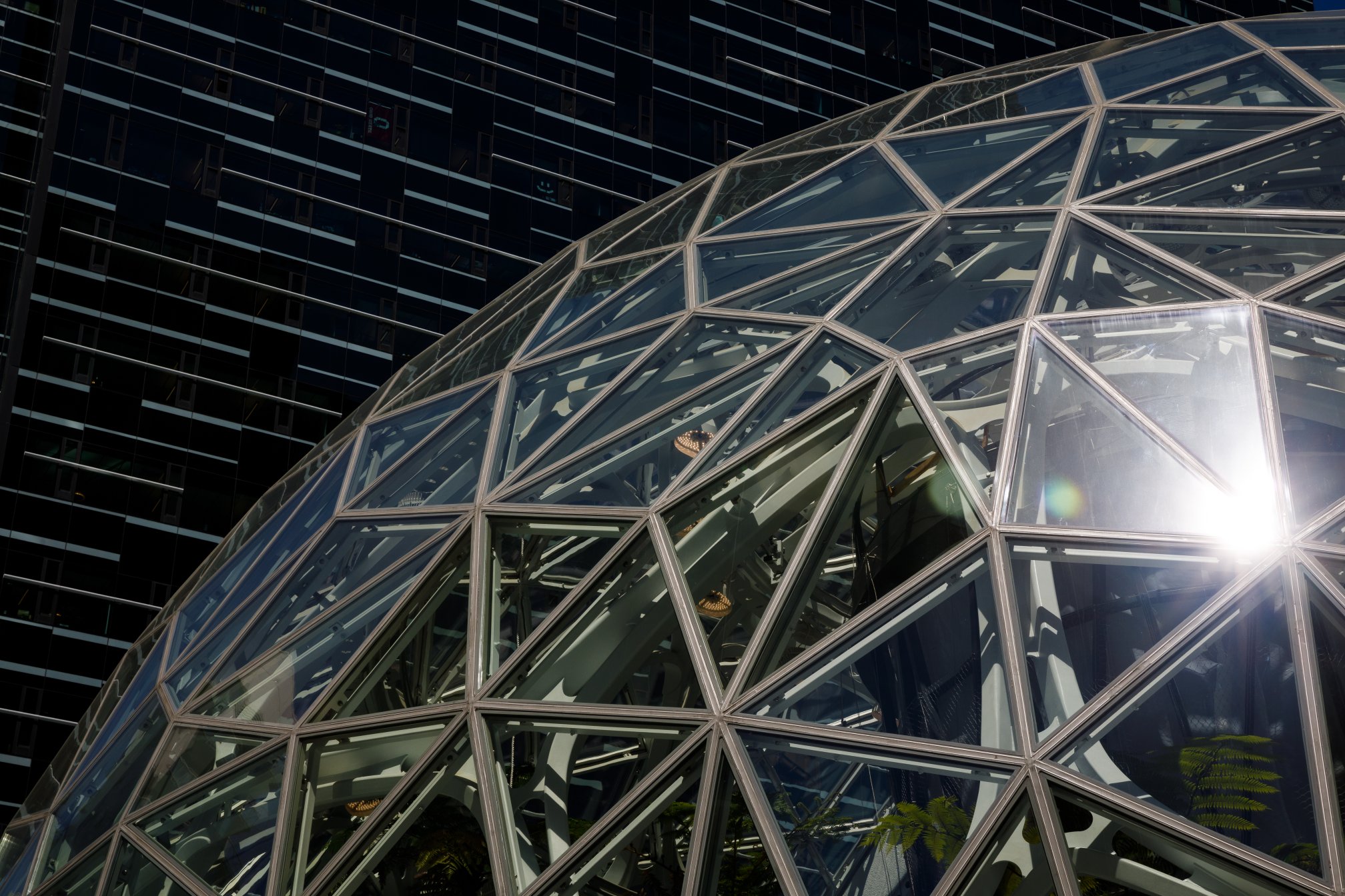 The glass sphere on Amazon's campus.