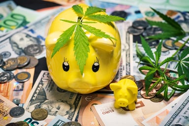 getty-marijuana-piggy-bank-cash