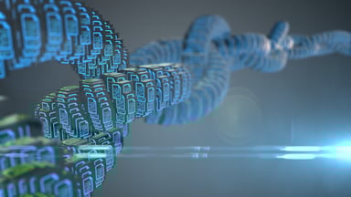 GettyImages-1001827980