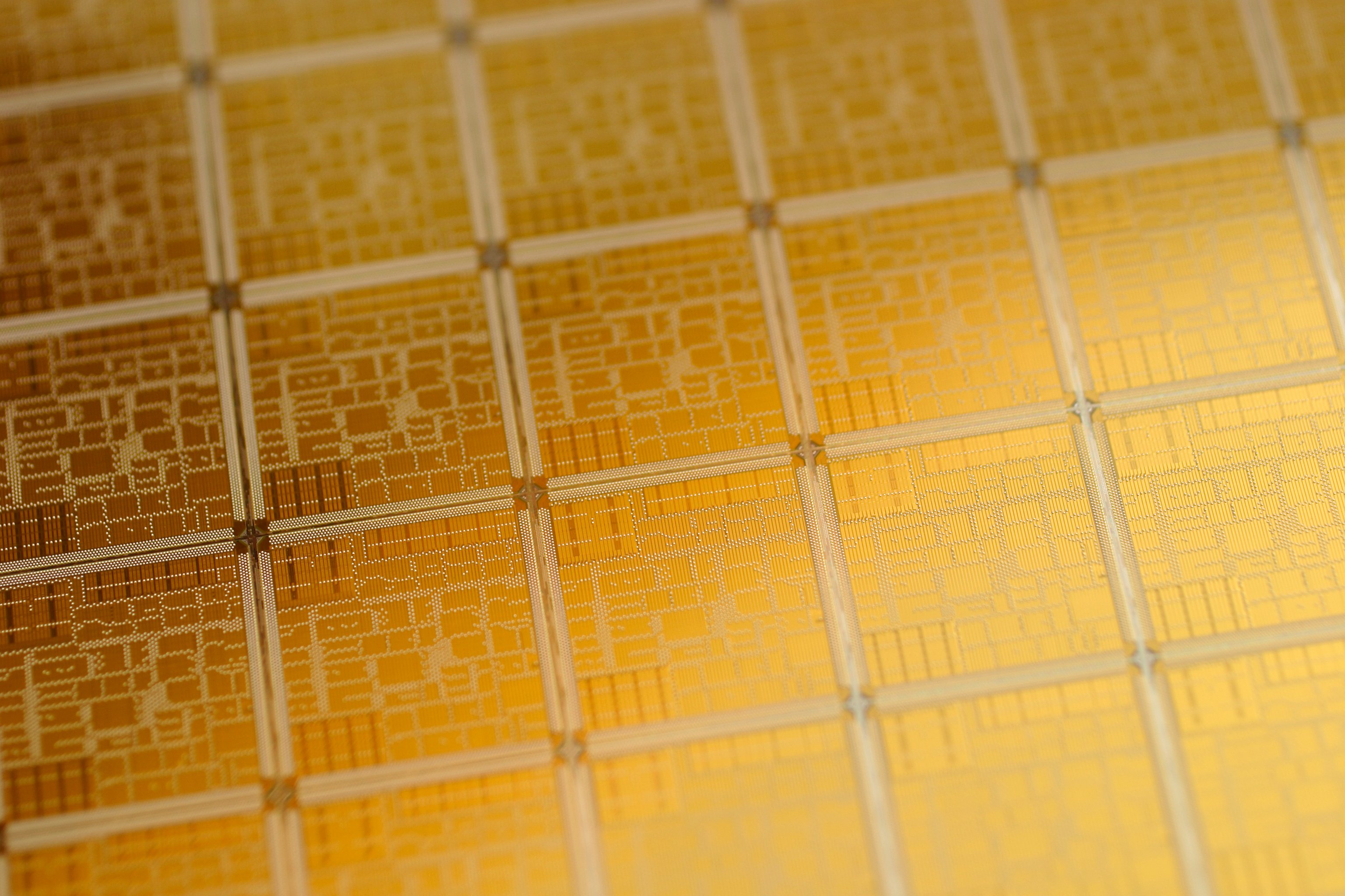 A close-up photo of computer chips.