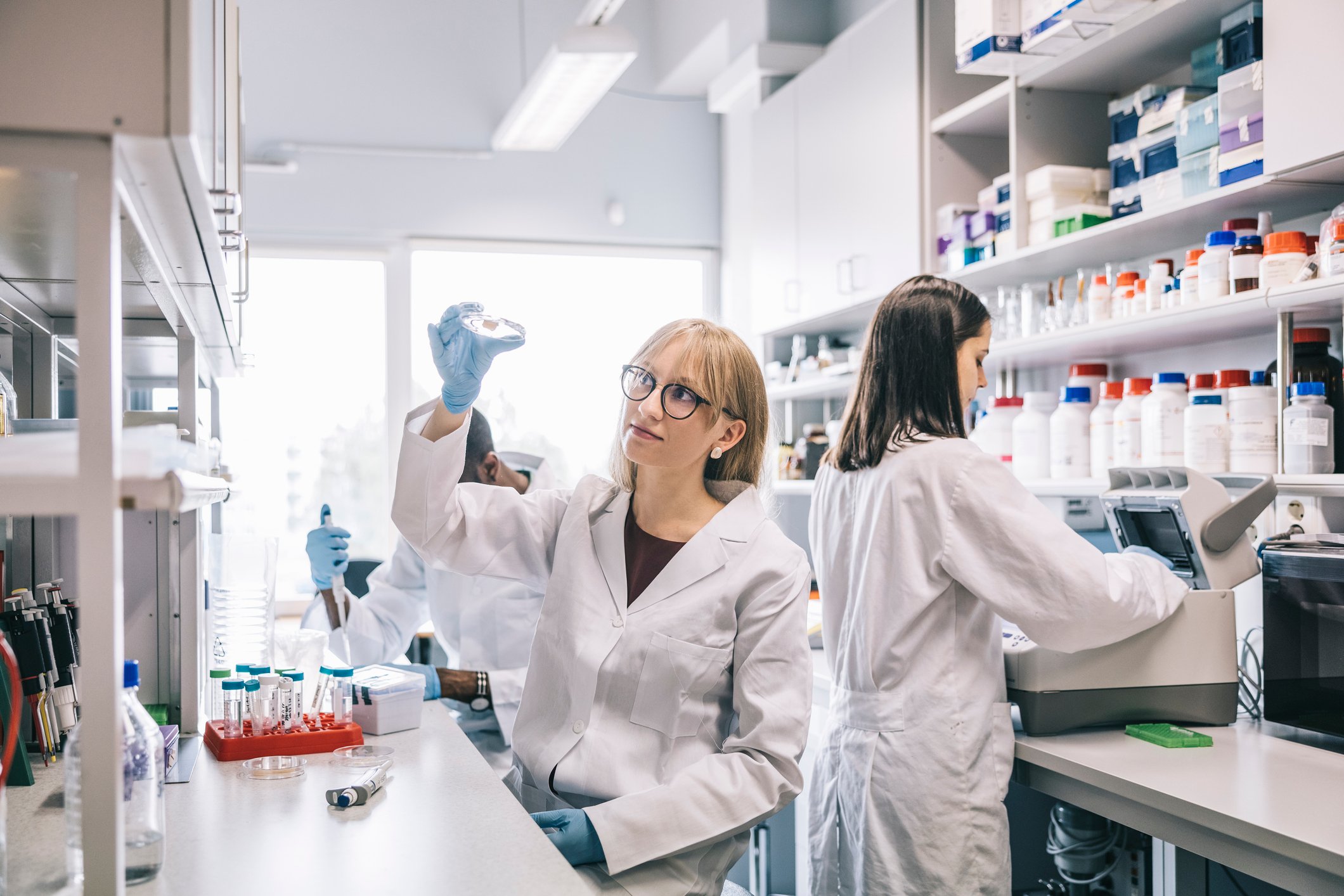 A group of three scientists work at laboratory benches while one holds a petri dish up to the light.