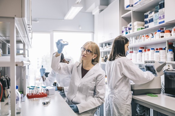 A group of three scientists work at laboratory benches while one holds a petri dish up to the light.