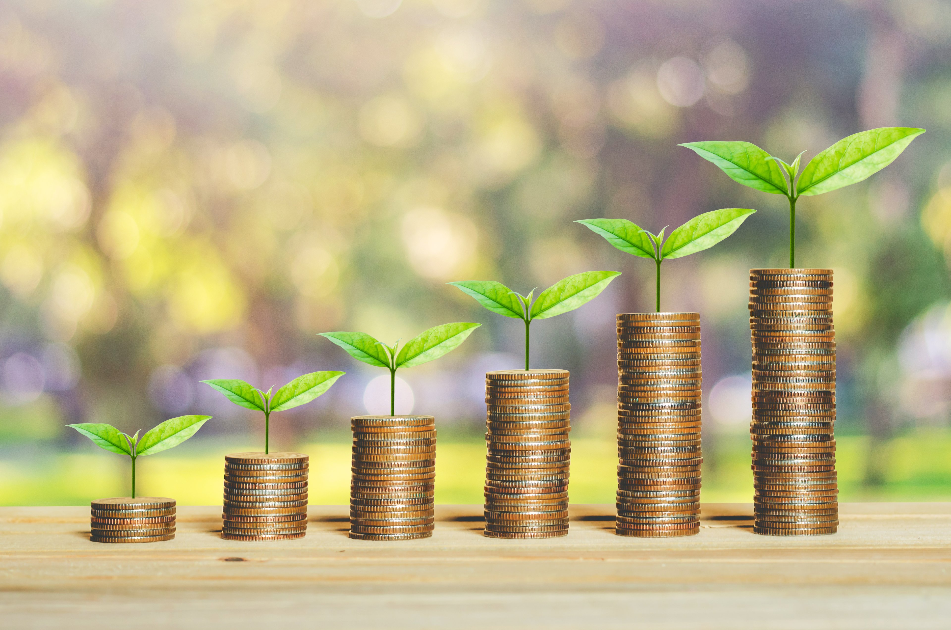 Stacks of coins with a plant growing from the top of each one.