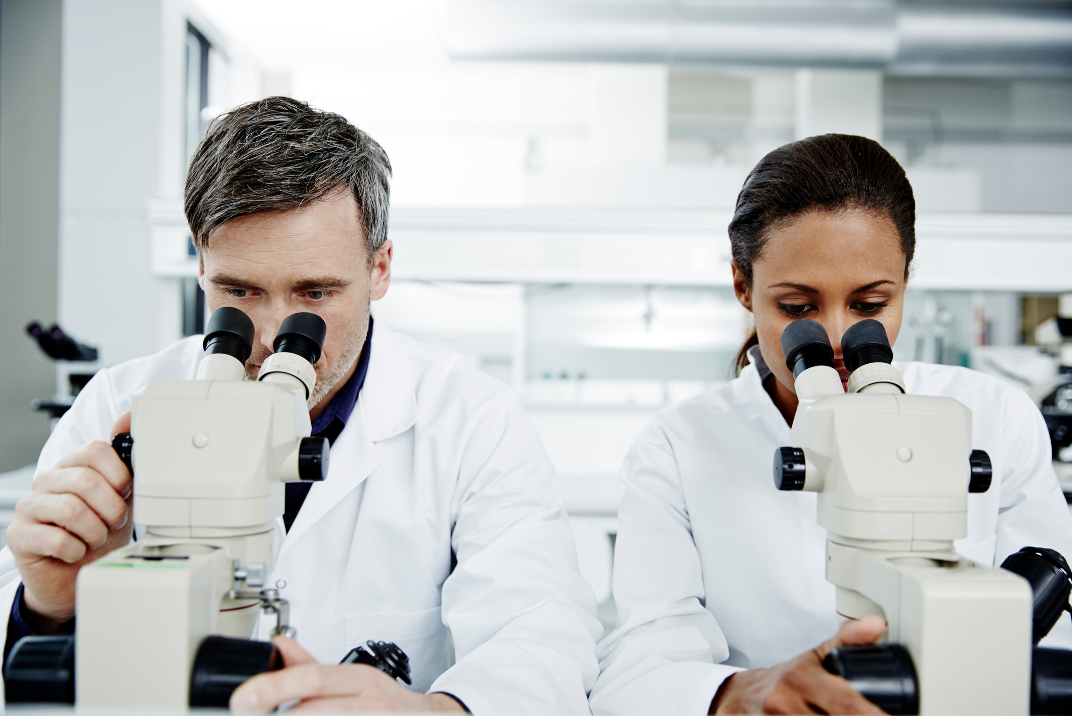 Two scientists sit at a laboratory bench side by side, peering into a pair of microscopes.