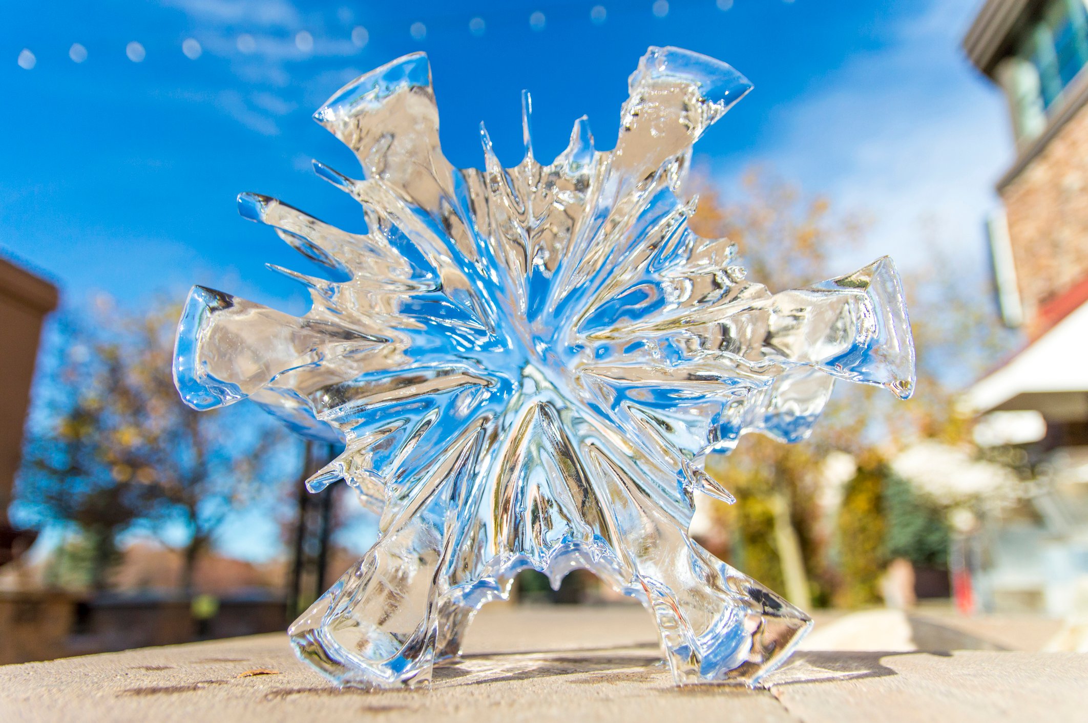 Ice shaped like a snowflake melting in the sun