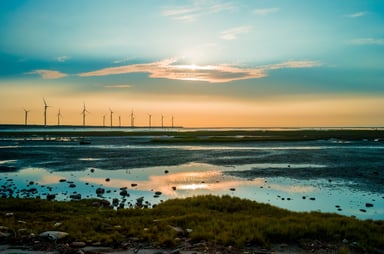 Wind turbines at sunset by the shore.