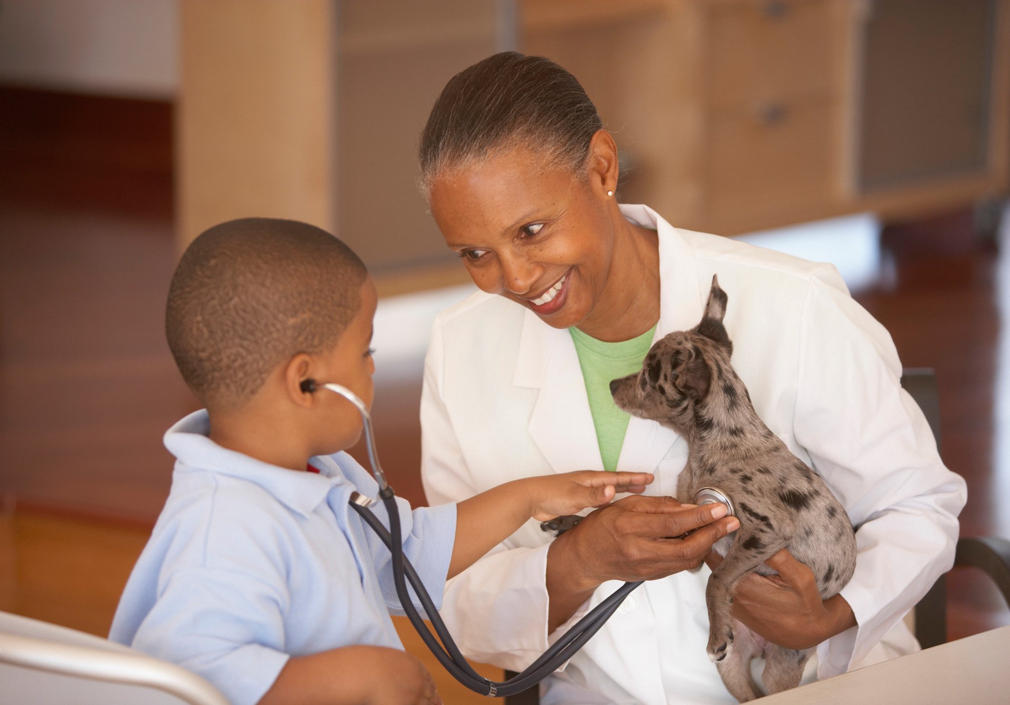 Veterinarian treating a dog.
