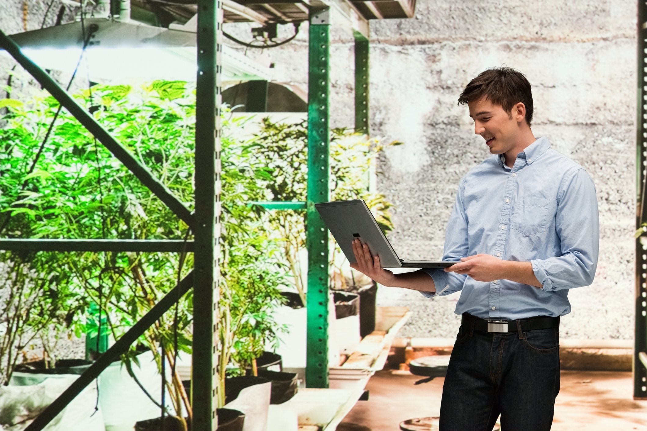 Man with laptop in marijuana production facility