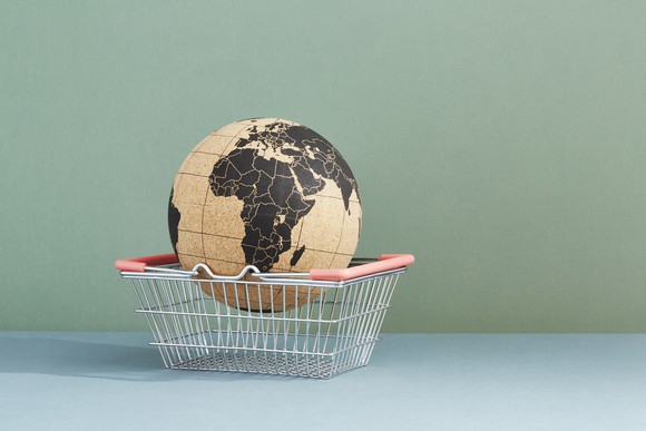 World globe in shopping cart. 