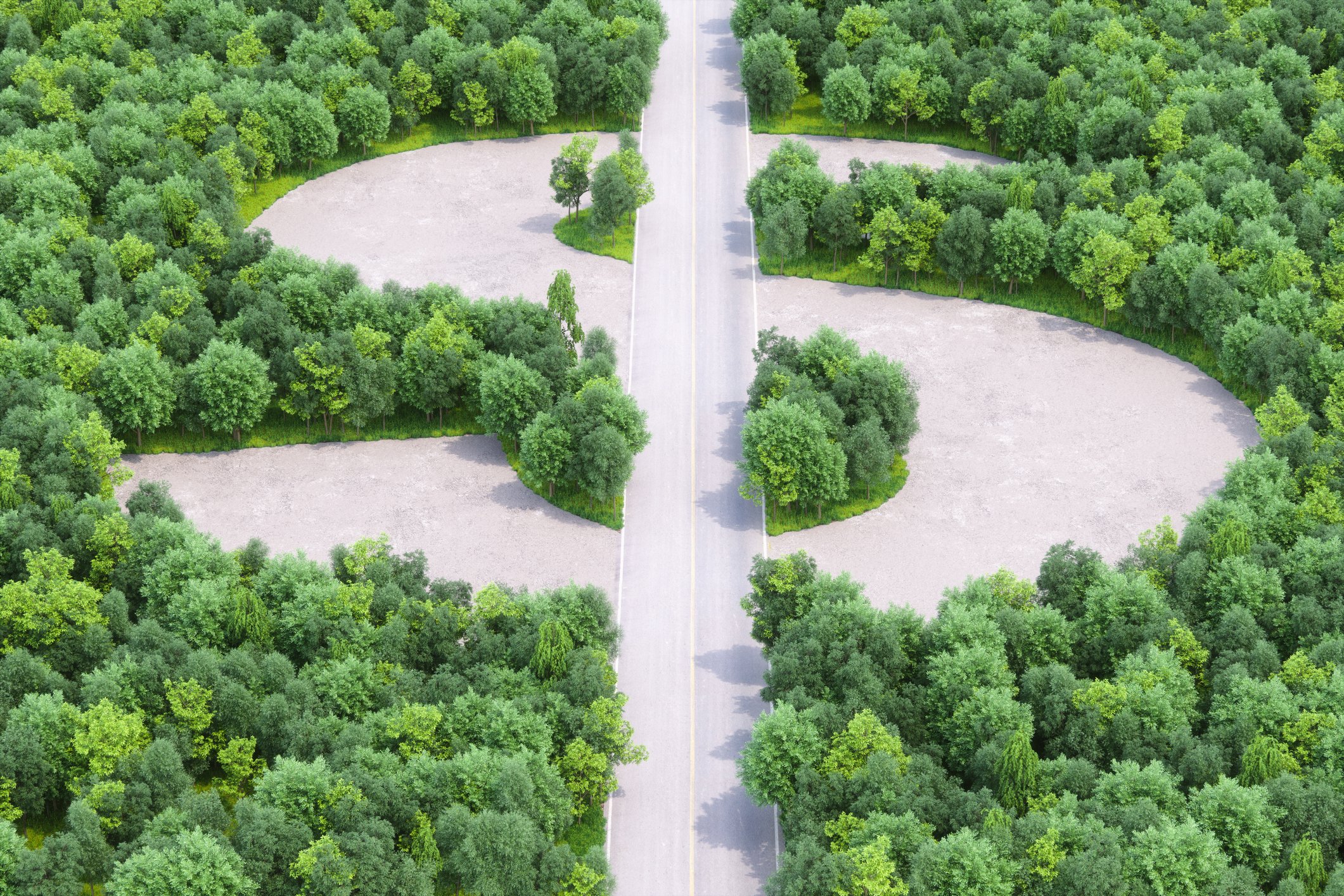 A road in the shape of a dollar sign going through a forest.