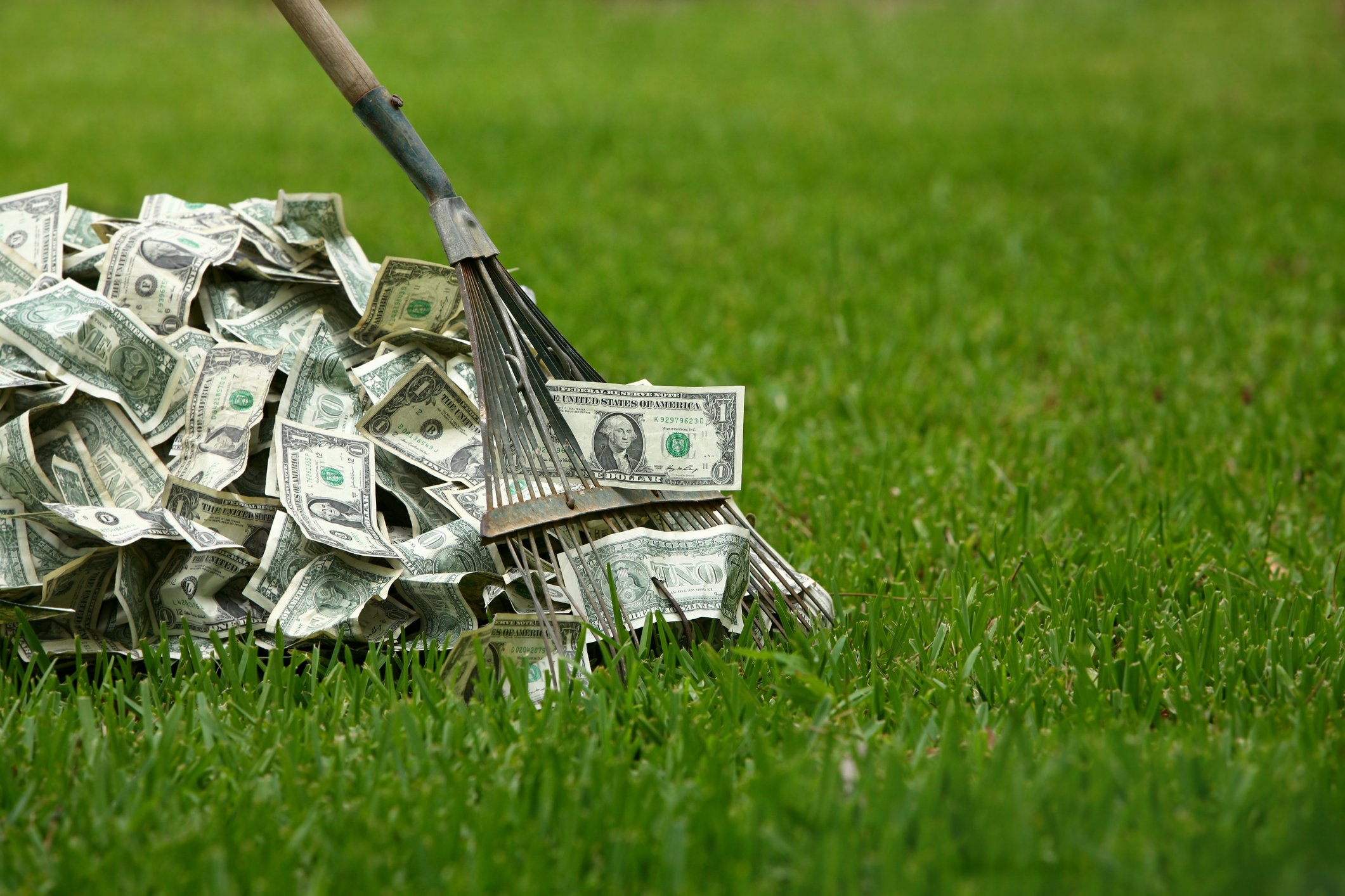 A rake drags a pile of U.S. $1 bills through a lawn of grass.