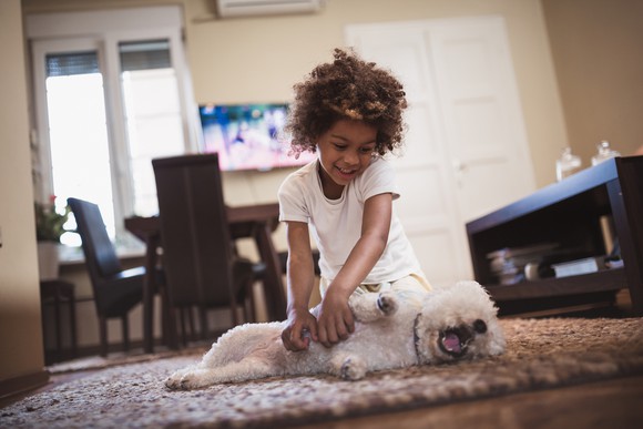 girl playing with pet dog on living room carpet. 