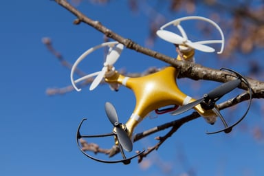 Quadcopter drone stuck in a tree