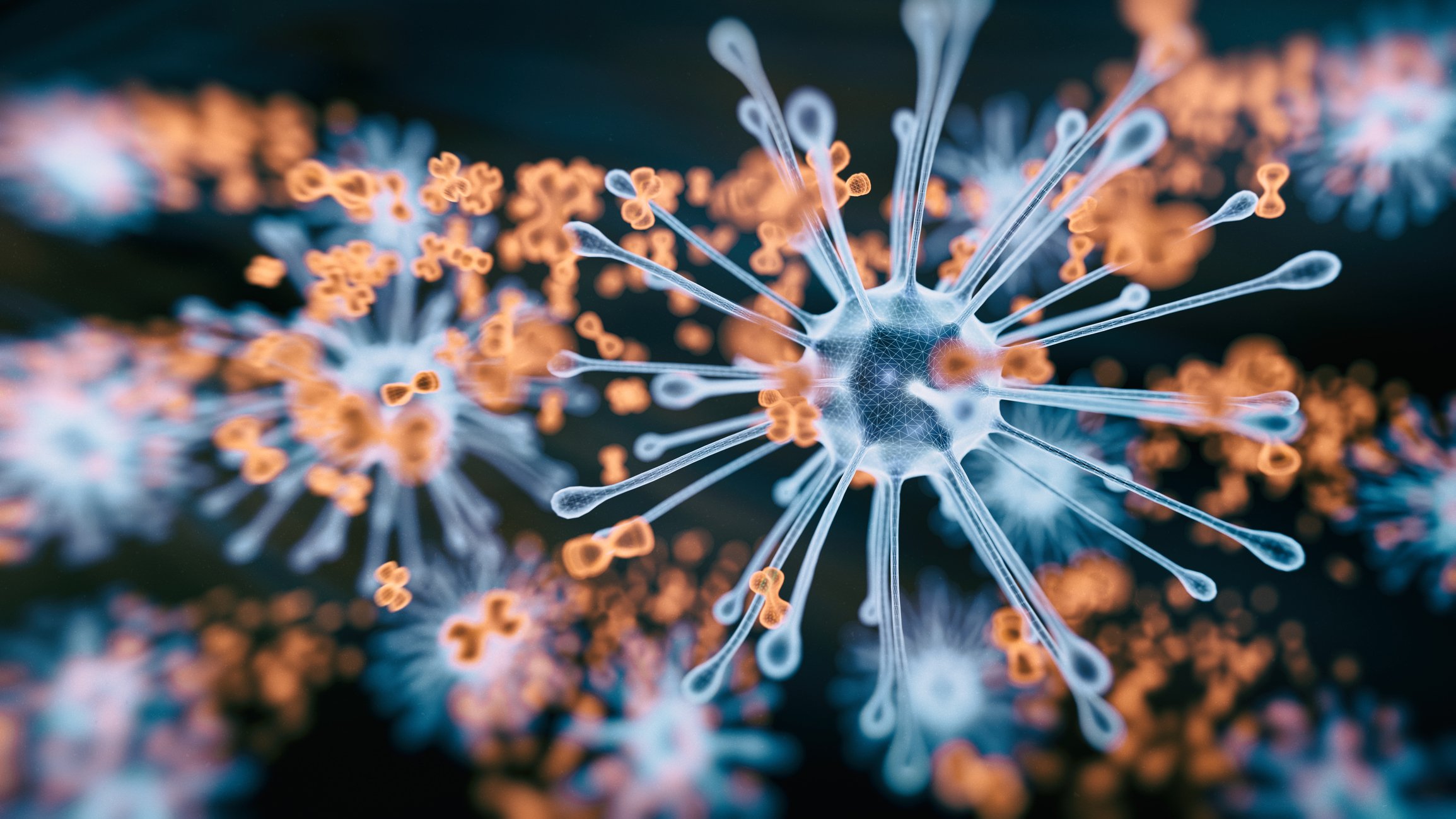 A 3D imaging of proteins and antibodies.