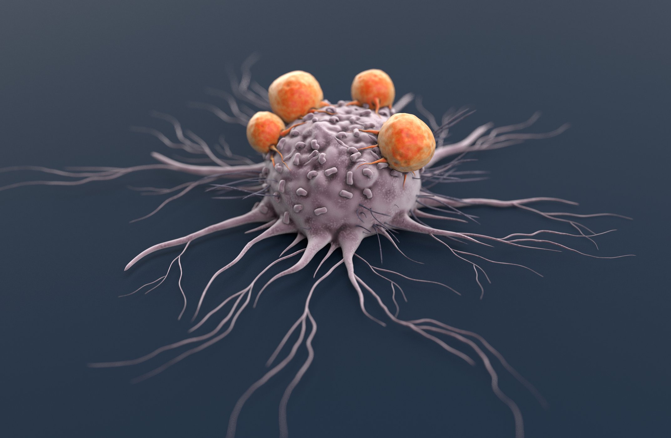 Cancer cell.